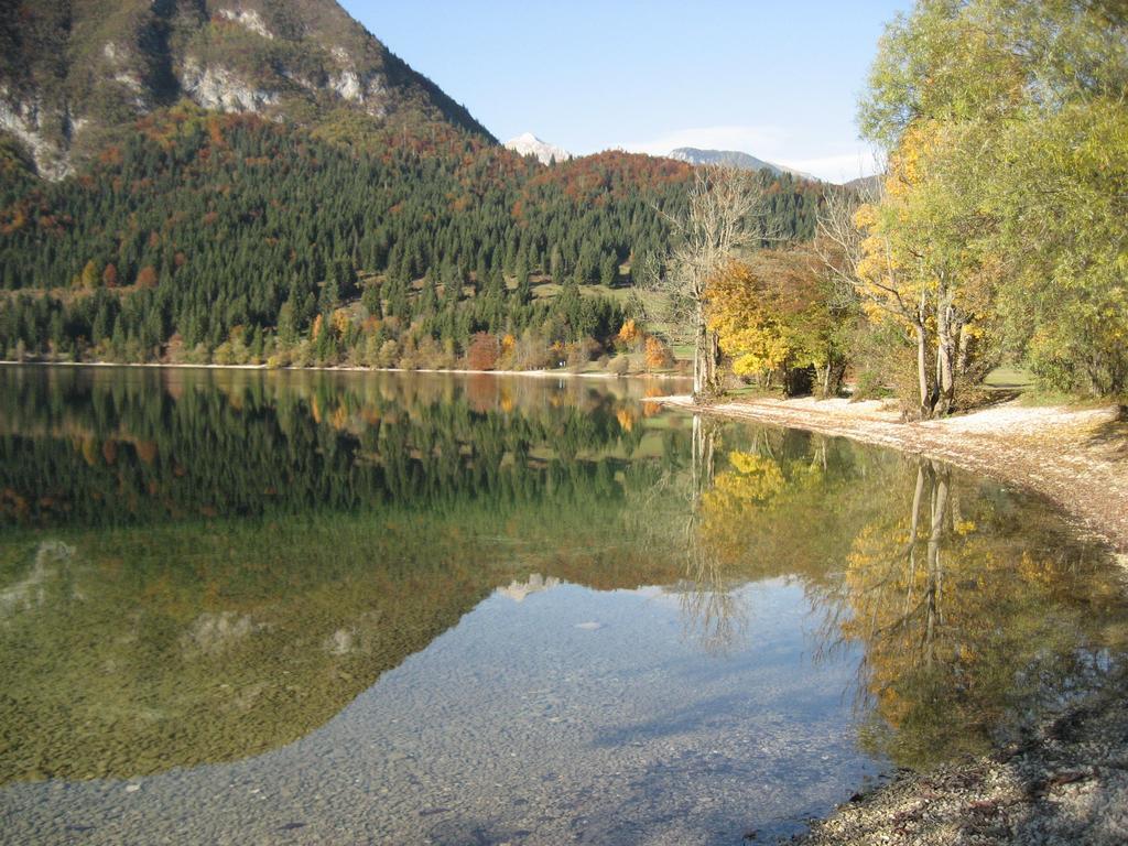 Apartments Pod Rodico Bohinjska Bistrica Exterior foto