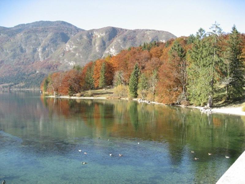 Apartments Pod Rodico Bohinjska Bistrica Exterior foto