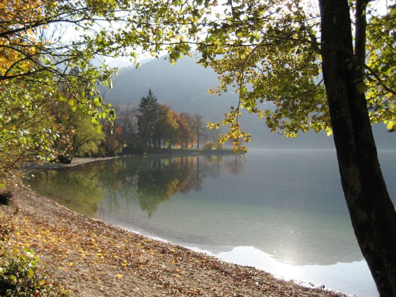 Apartments Pod Rodico Bohinjska Bistrica Exterior foto